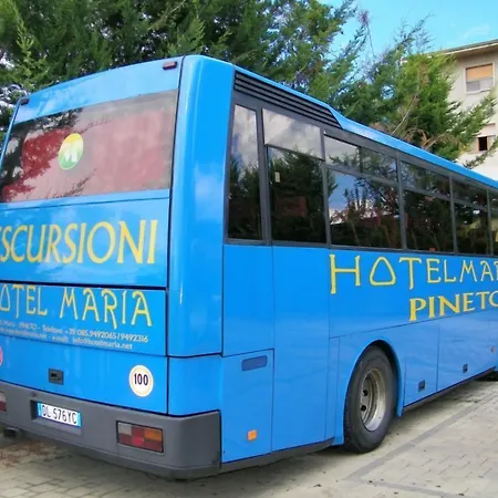 Maria 3*