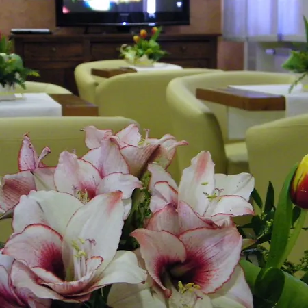 Maria Hotel