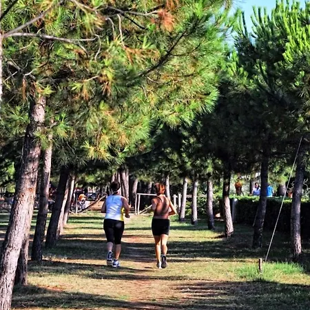 Maria 3* Pineto